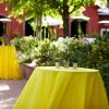 Chair Cover Rentals