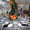 Black & White Flock Damask