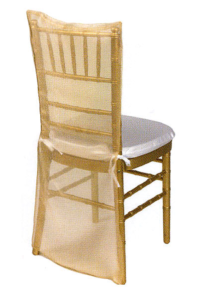 Coin Gold Organdy Chair Back