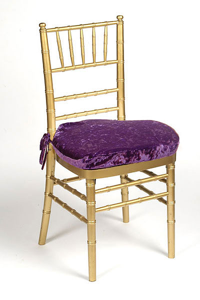 Grape Plush Velvet Chair Pad Cover