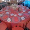 Coral Lamour Napkins