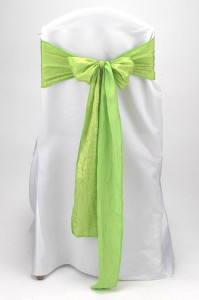 Lime Crushed Shimmer Tie