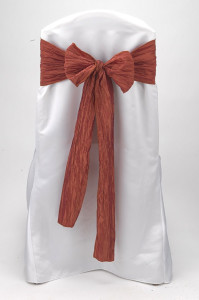 Burnt Clay Crinkle Taffeta Tie