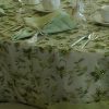 Green Beaded Silk with Charteuse Dupioni Border