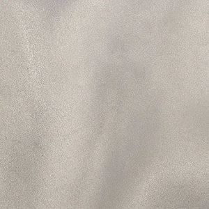 Light Grey Organdy