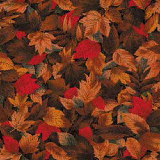 Fall Leaves