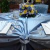 Periwinkle Lamour Napkins