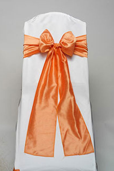 Apricot Iridescent Taffeta Tie