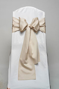 Champagne Lamour Tie