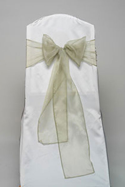 Celadon Organdy Tie