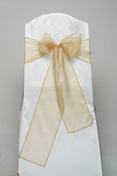 Coin Gold Organdy Tie