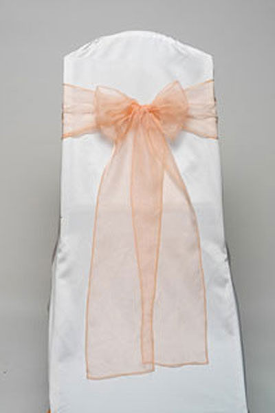 Peach Organdy Tie