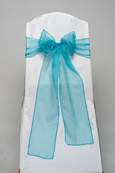 Turquoise Organdy Tie