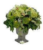 Green Assortment