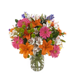 Spring Flowers