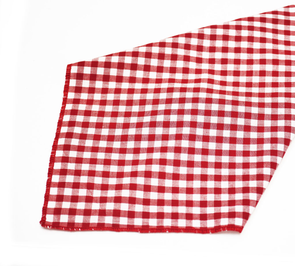 Red Gingham Napkin